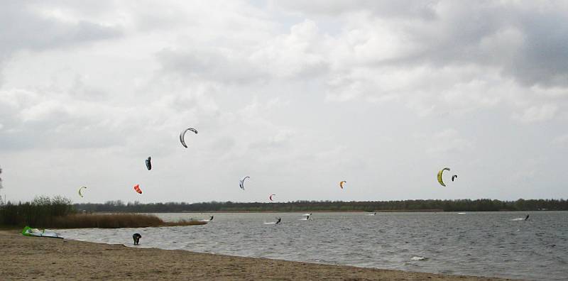 surfers