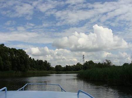 in de biesbosch