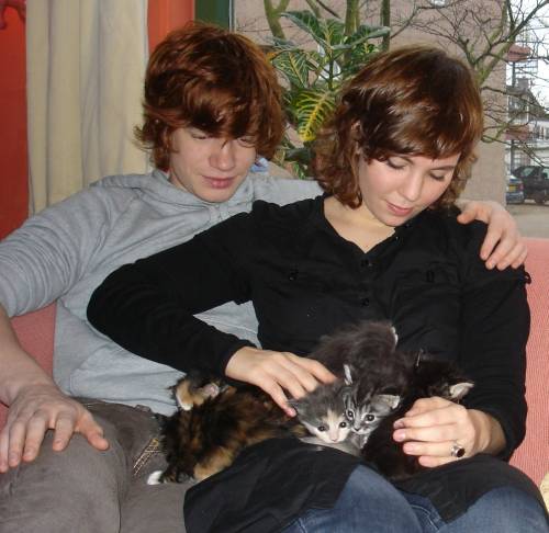 Einar, Lisa, kittens