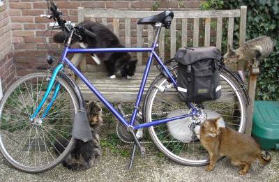 katten & fiets