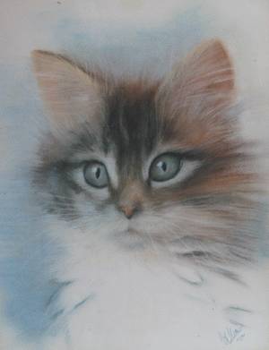 katten pastel