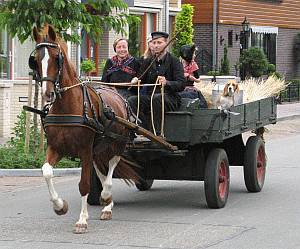 een paard