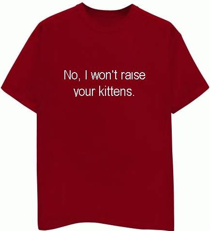 kittenshirt