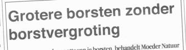 borstvergroting