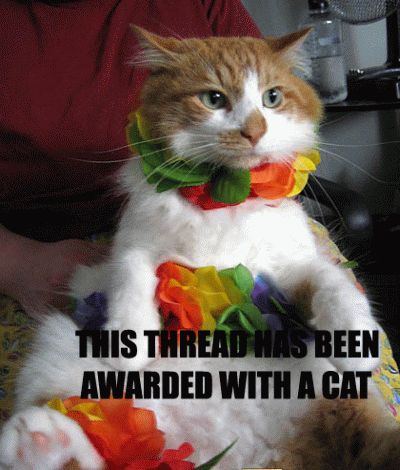 this thread has been awarded with a cat