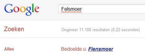 google flens