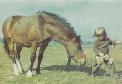 paard en iris