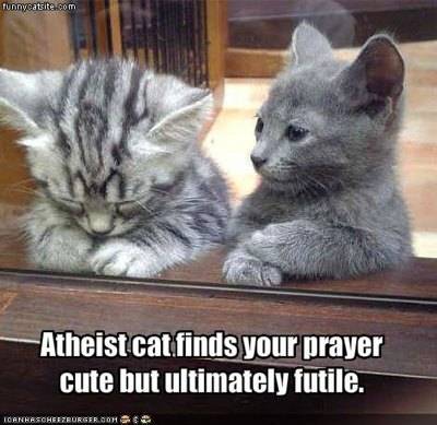 atheist cat