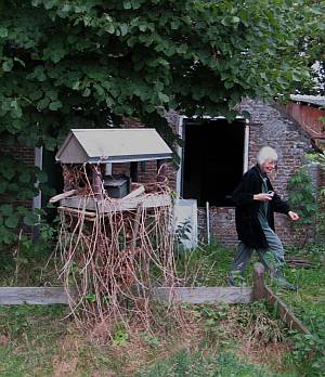 vogelhuisje